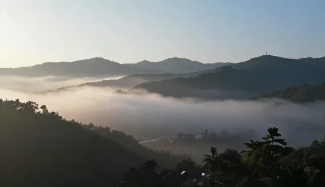 策划服务选型时应关注哪些核心要素?
